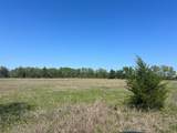 0031 Fm 2562 And Cr 218 Road - Photo 10