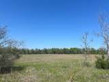 0031 Fm 2562 And Cr 218 Road - Photo 11