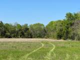 0031 Fm 2562 And Cr 218 Road - Photo 8