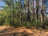 0 Marlin Lot 312 Drive - Photo 2