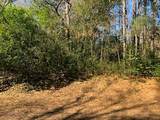 0 Marlin Lot 312 Drive - Photo 3