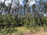 15693 Wooded Trail Way - Photo 4