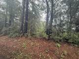 8AC Co Rd 317 - Photo 12