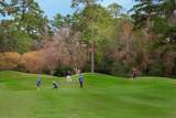 2 Box Turtle Lane - Photo 10