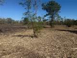 1914 1st  St  Lot 2 Street - Photo 10