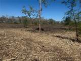 1914 1st  St  Lot 2 Street - Photo 11