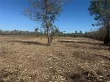 1914 1st  St  Lot 2 Street - Photo 12