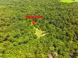 118.25 Acres Cr 278C - Photo 6