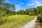 118.25 Acres Cr 278C - Photo 7