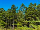 00 Hwy 190 - Photo 10