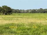 00 County Road 396 - Photo 11