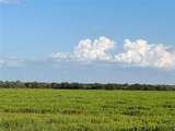 00 County Road 396 - Photo 12