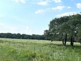 00 County Road 396 - Photo 13