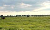 00 County Road 396 - Photo 18