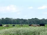00 County Road 396 - Photo 25