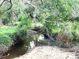 00 County Road 396 - Photo 27