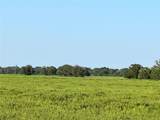 00 County Road 396 - Photo 3
