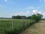00 County Road 396 - Photo 33