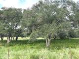 00 County Road 396 - Photo 4
