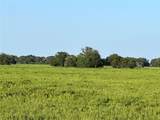 00 County Road 396 - Photo 5