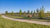 26706 Dalmatian Bellflower Drive - Photo 26