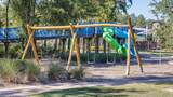 26706 Dalmatian Bellflower Drive - Photo 28