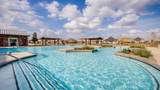 26706 Dalmatian Bellflower Drive - Photo 29