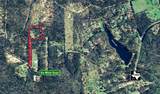 12274 Ike White Road - Photo 12