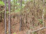 Lot 25 North Council Drive - Photo 4