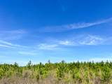 0 County Rd 4415 - Photo 5