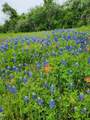 TBD E Us Hwy 90 - Photo 7