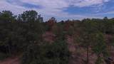 12939 Rose Road - Photo 7
