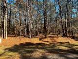 55 Green Tree Drive - Photo 3