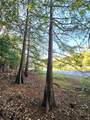 TBD County Road 2167 - Photo 2