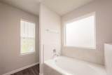 2335 Tavo Trail Drive - Photo 30