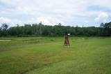317 Hickory Drive - Photo 5