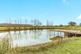 525 County Road 164 - Photo 41