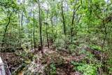 24509 Park Forrest Lane - Photo 34