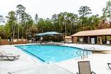24509 Park Forrest Lane - Photo 42