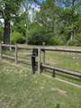 123 White Oak Drive - Photo 38