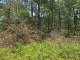 12949 Cedar Tree Court - Photo 4