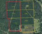 0 Private Road 2026 Tracts 1-3 - Photo 4