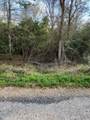 0 Swan Lake Drive - Photo 10