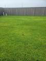 16706 Grazed Fallow Trail - Photo 21