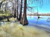 401 County Road 2869 - Photo 17
