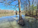 401 County Road 2869 - Photo 18