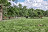 TBD Henson Road - Photo 10