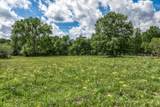 TBD Henson Road - Photo 9