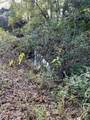 26870 Lazy Ln - Photo 11