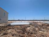 26207 Venus Trap Trail - Photo 17